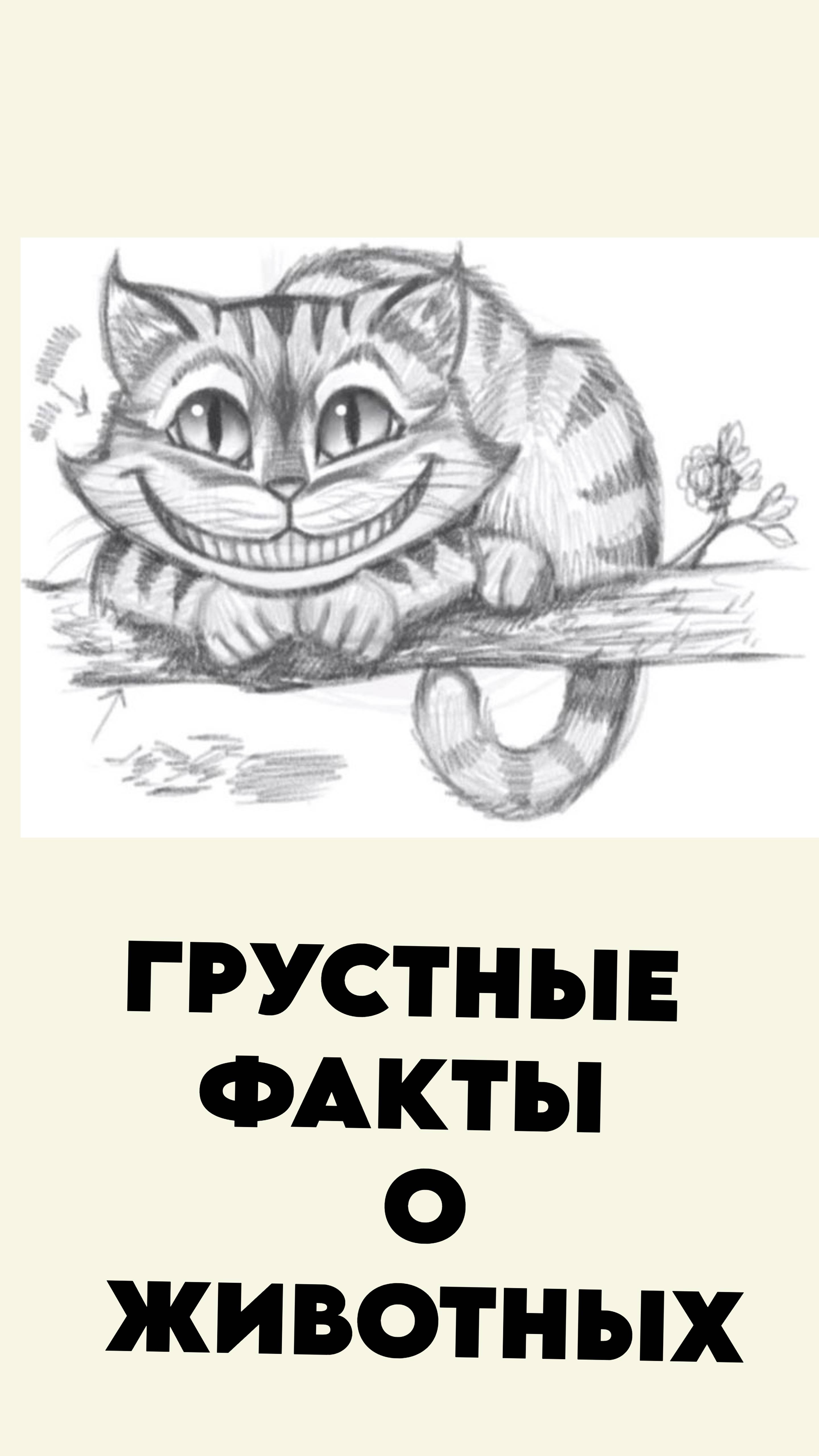 Грустные факты о животных 7