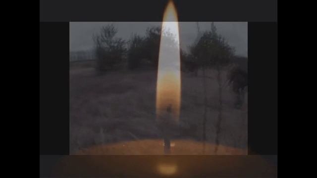 Застольная