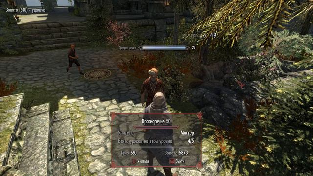 The Elder Scrolls V: Skyrim ч15 (Легендарный уровень)