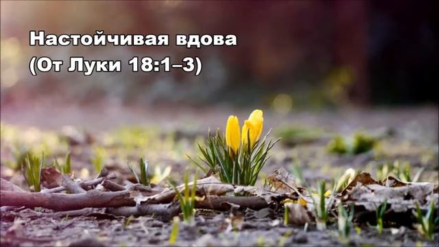 Тихое время с Живой Жизнью: от Луки 18:1–8 (19032017)