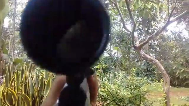 Barata klassic dgn tele BSA 4x32 vix zoom jernih tahan getar