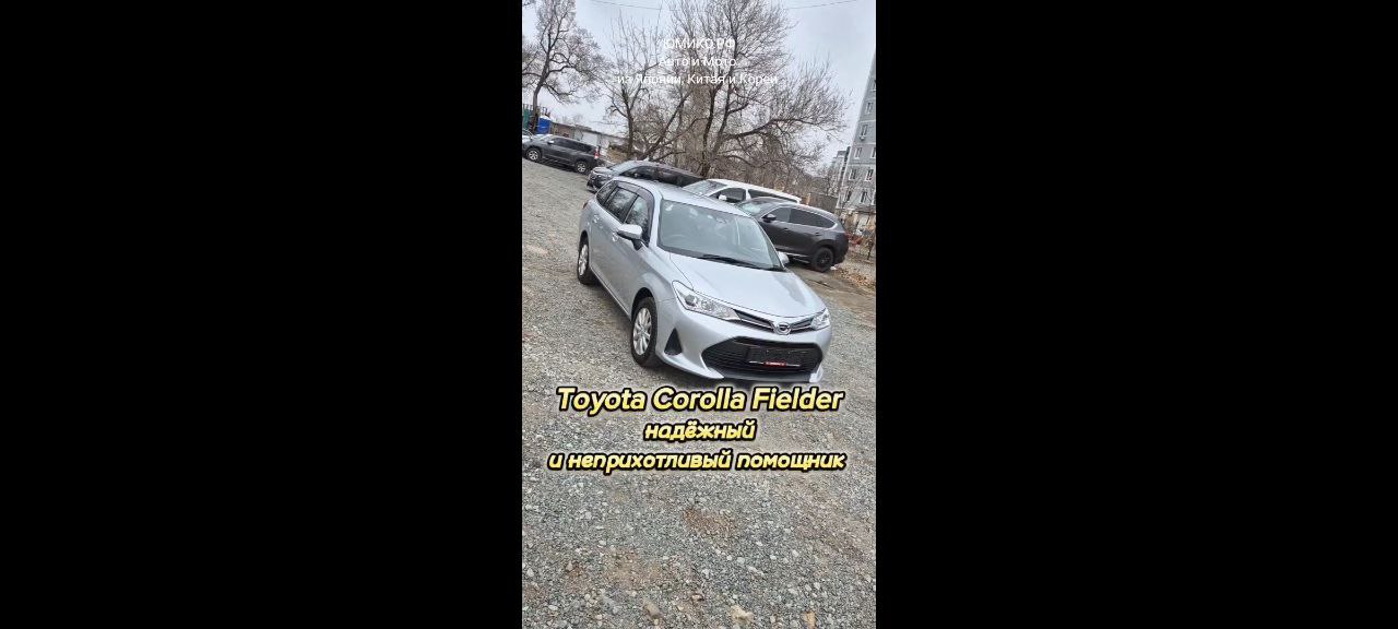 Toyota Corolla Fielder - надежный и неприхотливый помощник