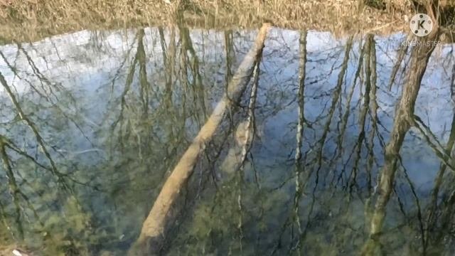 GoPro 10 тест под водой