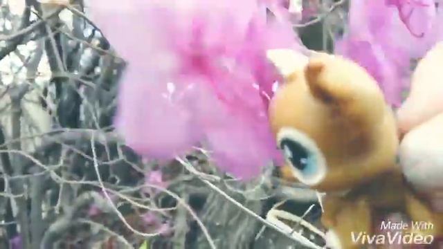 Я с сестрой на даче（〜^∇^)〜