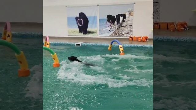 VID_285390206_014532_086.mp4