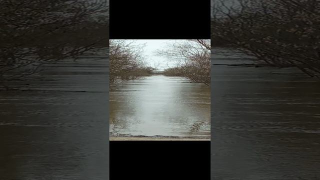 Ока разлилась. Старый паром в Ганькино.