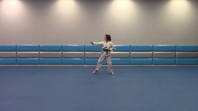 Gracie TG 3