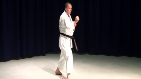 Shotokan Karate Kicking Exercise Brown Belt Kicking Combination 2