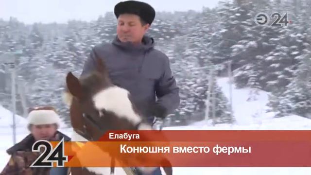 Фермер из Елабуги создает конное подворье