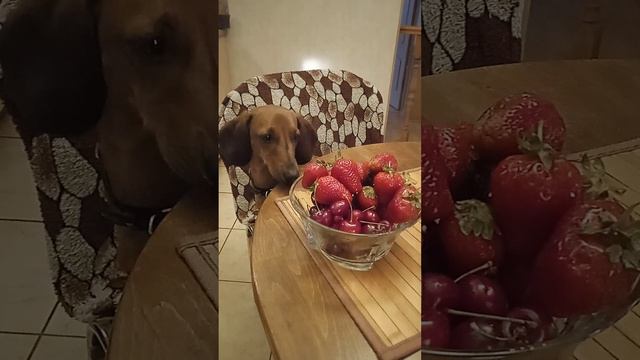 Я подарю ей ягодки