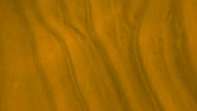GX010177_1725825592137.MP4