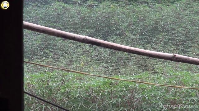 freelancelifestyle ru Vietnam 487 8 Sapa Private Trekking