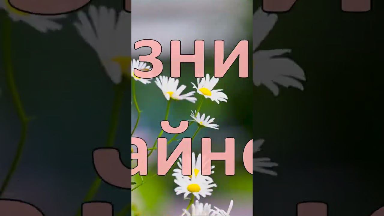 ЛУЧШИЕ АФФИРМАЦИИ БЛАГОДАРНОСТИ#аффирмации #аффирмациинауспех #аффирмация