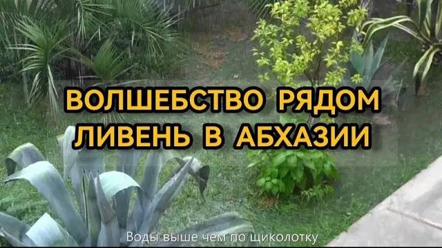 Волшебство рядом. Бешеный ливень в Абхазии 07.09.2022