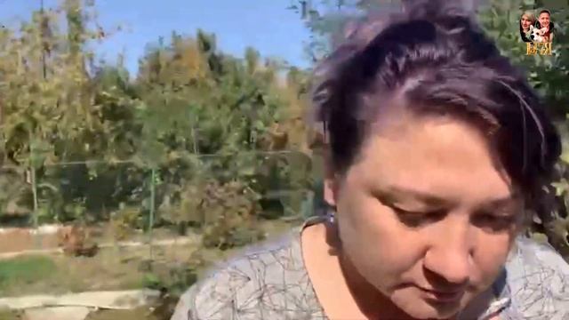 149! Д/в выпуск:  сохранить перец на зиму , упышняю ель, совет как быстро заснуть