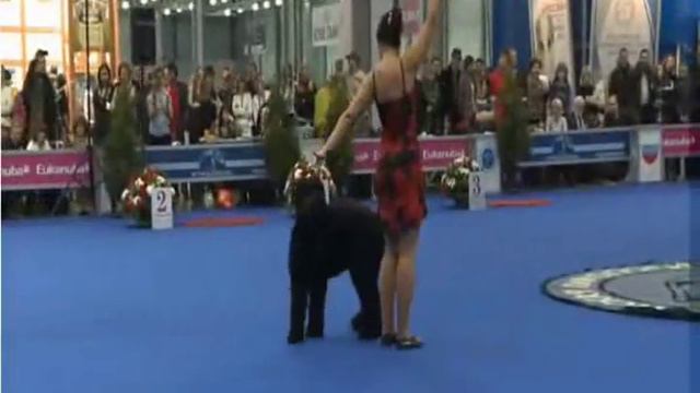 Россия 2012    Презентация отечественных пород