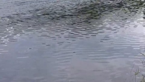 ОТДЫХ НА РЕКЕ МОЗЕЛЬ ГЕРМАНИЯ 2017