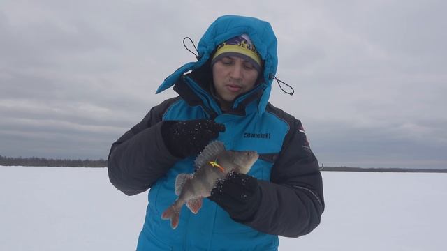 Крупный окунь зимой на балансир StrikePro. Супер рыбалка 2018. Озеро Ильмень.
