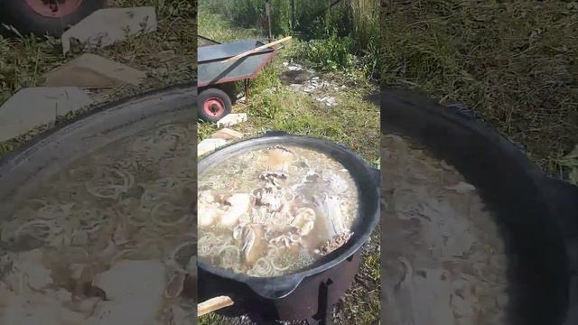 2020 год  месяц  июня встречаем  гости