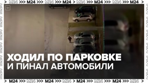 Пинавшего автомобили москвича заметили ночью в жилом комплексе "Мещерский лес" — Москва24
