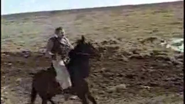 Овсянка, Сэр!