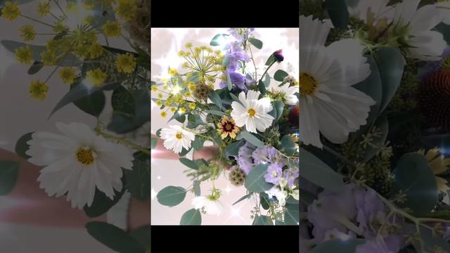 ВАЛЕРИЙ ПАЛАУСКАС - ПОЛЕВЫЕ ЦВЕТЫ СОБЕРУ БУКЕТ, #песня, #надияеременко