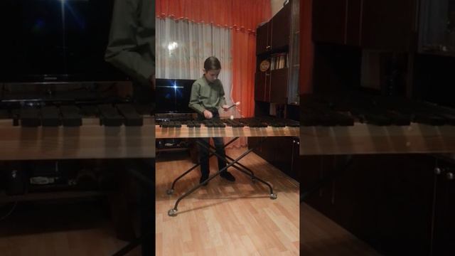 В.А. Моцарт, Рондо, С-dur. Mурадян Даниэл