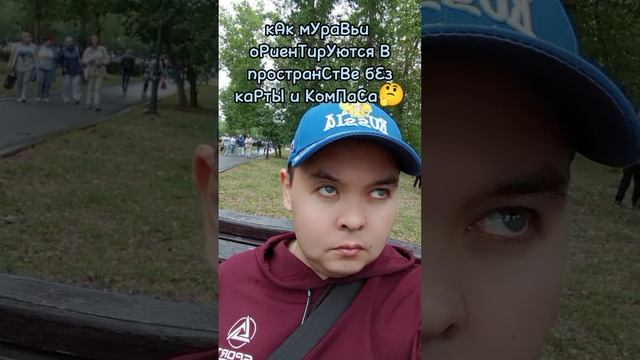 мУраВьИ..