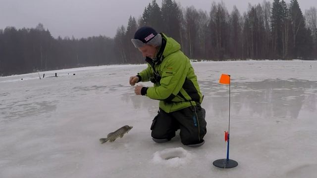 ЖЕРЛИЦЫ в новогоднюю ночь.  Сказ о том как ЩУКА жерлицы мотала