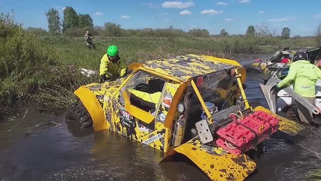 Ветка сакуры. Трофи. Рязань