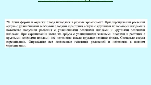 Принципы решения задач по генетике и их оценка