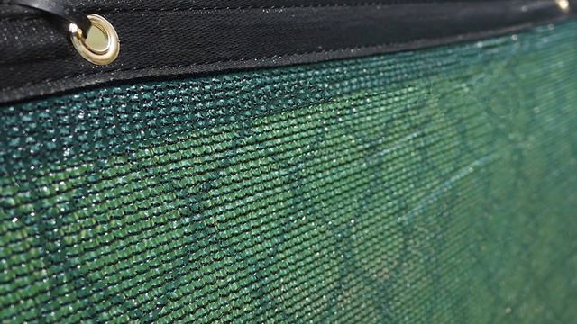 Обзор материалов и способы укрытий хвойных и вечнозелёных растений от весеннего солнца