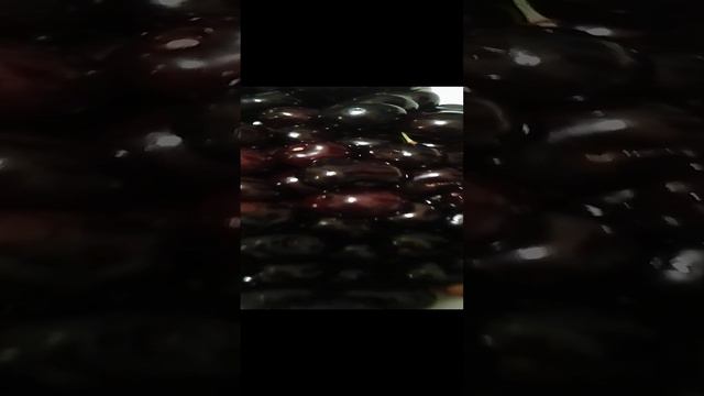 1000095323.mp4
