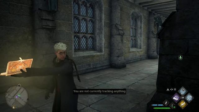 NSW : Hogwarts Legacy Day 2 Live
