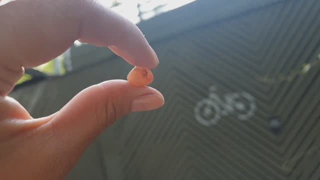 поделочные материалы парка Горького