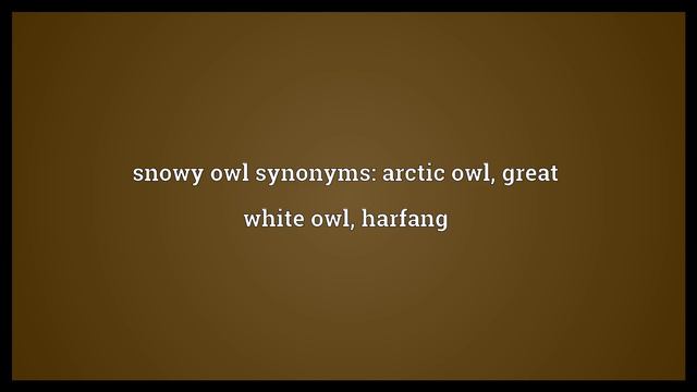 Snowy Owl Meaning
