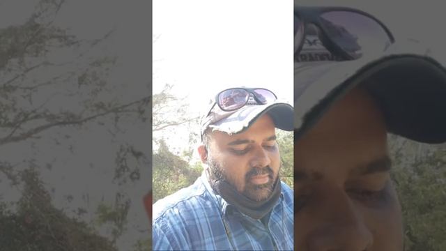 Why kubernetes Is Popular With ELK??