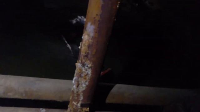 2019.02.11 11:49 - Астрахань - Подвал по адресу улица Тренева 31