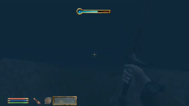 The Elder Scrolls 4 Oblivion Часть 7 В поисках уникального предмета