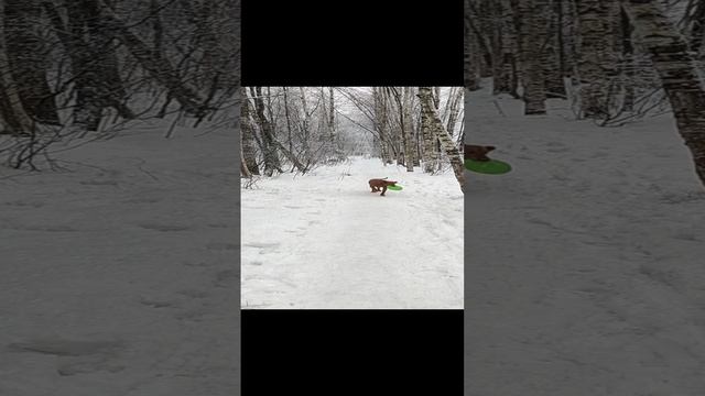 1000019921.mp4