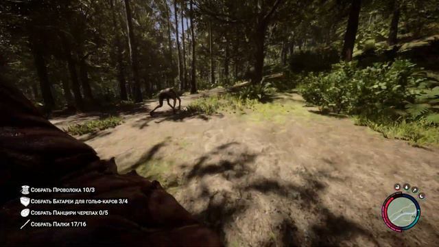 Подожди, у тебя нож в спине... Sons of the Forest / CS2 / The Forest