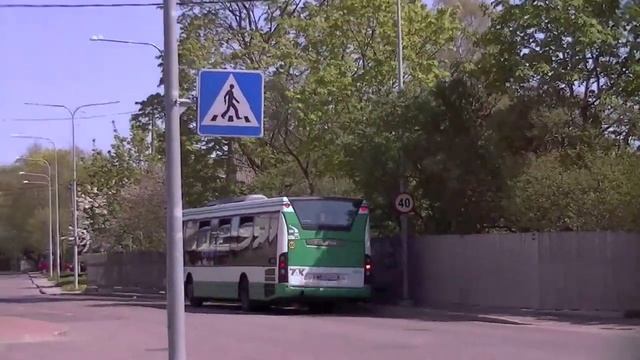 VLOG: Виза в Москву, центр Таллинна, кошки