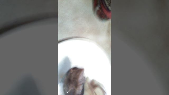 Моя кошка дерьмо не ест!!!!!