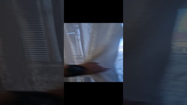 1000529696.mp4