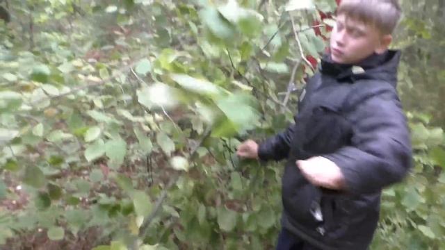 Поход в лес В ПОИСКАХ ГРИБОВ!