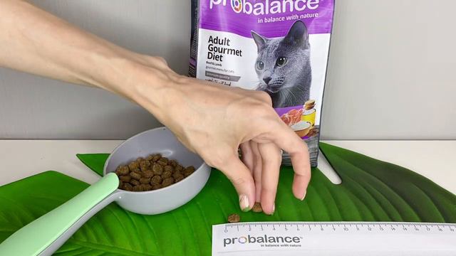 Корм для кошек PROBALANCE "GOURMET DIET BEEF & LAMB" С ГОВЯДИНОЙ И ЯГНЕНКОМ