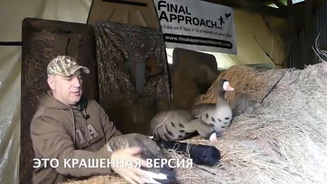 Новинка 2020 гуси LIVE от FA