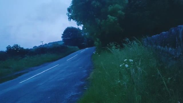 Honda CBF125 Exhaust Sound and FlyBy