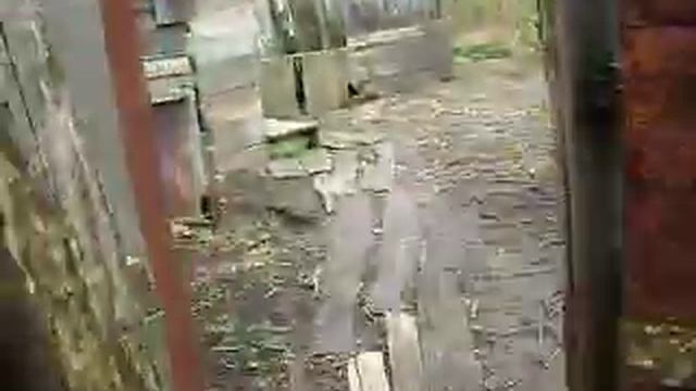 КУР ВОЛЬЕР С КОЗОВНИКОМ