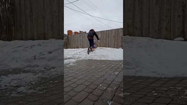 паралонка